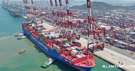 如何在复杂的市场中选择适合我们的国际货运代理合作伙伴？