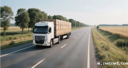 国际物流公司发展趋势剖析